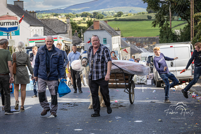 Borris Horse Fair 2023 (by Finbarr)